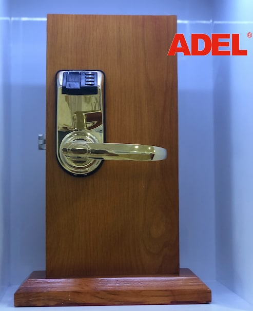 Khoá cửa vân tay ADEL DIY-3398