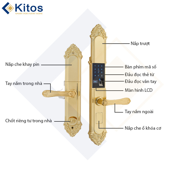 Khóa vân tay tân cổ điển Kitos KT-C810 Golden 24K