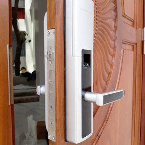 Khóa cửa vân tay Dessmann